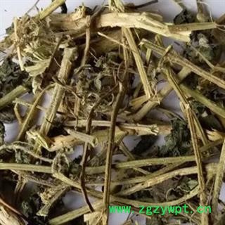 新辉药业芝麻 芝麻杆图2