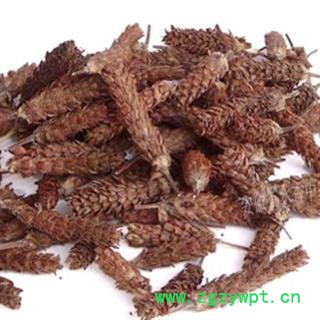 新辉药业夏枯球图2