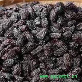 新辉药业乌枣 君迁子 牛奶柿图2