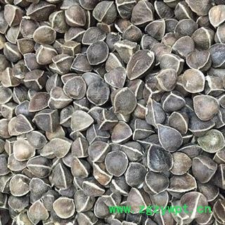 新辉药业正品辣木籽  印尼辣木籽 无硫新货图2