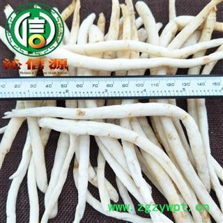 【满包邮】川明参小条选货散装四川产地直供沁信源南沙参中药批发图2