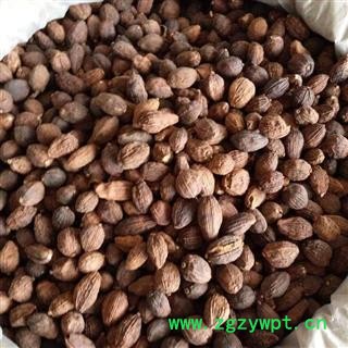 新辉药业正品草果 优质新货 各种调料图2