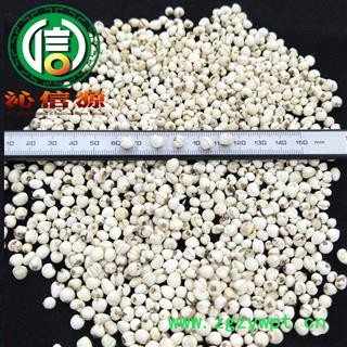 【满包邮】川贝母包检松贝母四川产地直供沁信源中药批发图3