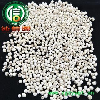 【满包邮】川贝母包检松贝母四川产地直供沁信源中药批发图4