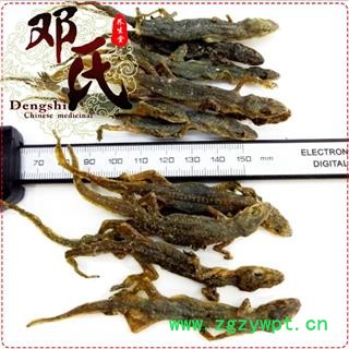 壁虎完整个子统货国产包药检500克起批散装批发产地直供邓氏尚品中药材批发图3