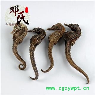 海马 海马1~2克每个 清水足干 产地 广东省 邓氏尚品图2