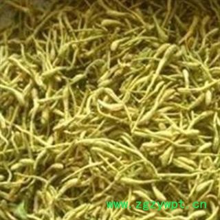 灵吉药业 金银花 双花 二花 批发各类规格中药材 花茶 矿石 冷背珍稀野生药材图2