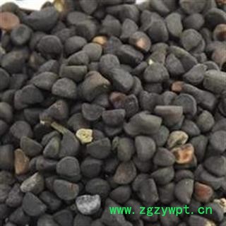 新辉药业正品牵牛子 黑丑  白丑图2