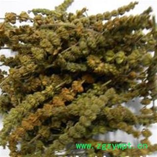 灵吉药业 荆芥穗  产地直销   批发各种规格中药材 花茶 矿石 冷背珍稀野生药材图3