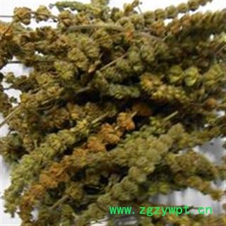 灵吉药业 荆芥穗  产地直销   批发各种规格中药材 花茶 矿石 冷背珍稀野生药材图2