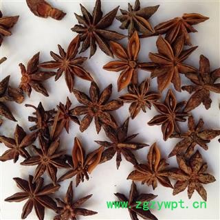 新辉药业优质中药材调料 八角  大料图3