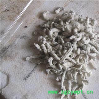 僵蚕 统 产地 广西壮族自治区南宁市上林县 库存 500公斤可售图2