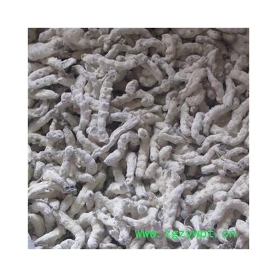 僵蚕 统 产地 广西壮族自治区南宁市上林县 库存 500公斤可售