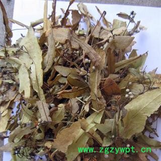 椴树花 统 产地 陕西省商洛市柞水县 库存 300公斤可售图2