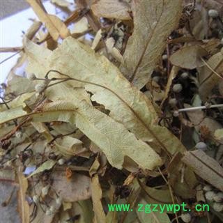 椴树花 统 产地 陕西省商洛市柞水县 库存 300公斤可售图3