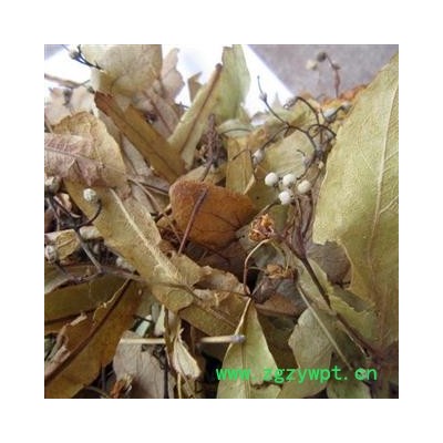 椴树花 统 产地 陕西省商洛市柞水县 库存 300公斤可售