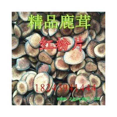人工驯养鹿茸 鹿茸【红色粉片】粉质细腻，纯干 产地 吉林省白山市抚松县