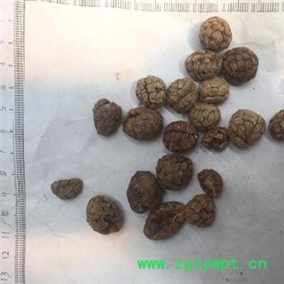 新辉药业中药材 土砂仁 假砂仁 大草寇图2