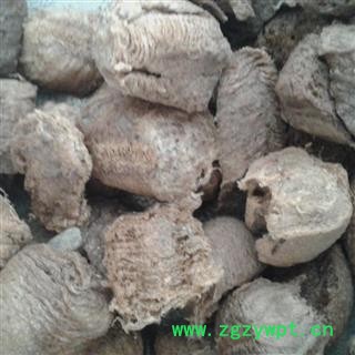 桑螵蛸 中大个 产地 山东省烟台市芝罘区图2