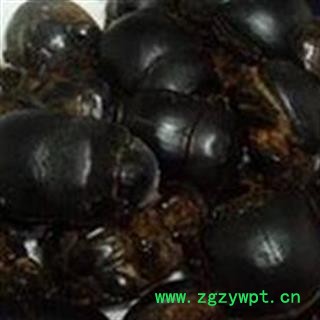 蜣螂 大将军 屎壳郎  统货，水洗货，优质正品 产地 河南省图3