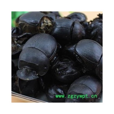 蜣螂 大将军 屎壳郎  统货，水洗货，优质正品 产地 河南省