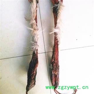 鹿鞭 长白山鹿鞭，产地直供，假一赔十 产地 吉林省白山市抚松县图2