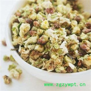 梅花 绿萼梅花选货 产地 安徽省黄山市图2