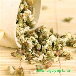 梅花 绿萼梅花选货 产地 安徽省黄山市图4