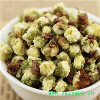 梅花 绿萼梅花选货 产地 安徽省黄山市图3