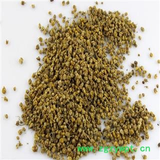 野菊花 统货 产地 河南省  大货批发图2