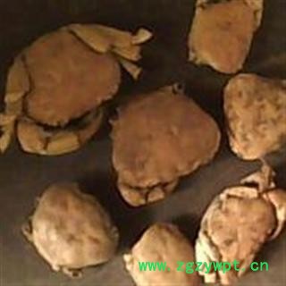 特级蟹壳 统货 产地 台湾省图2