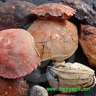 特级蟹壳 统货 产地 台湾省图3