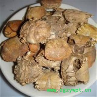 特级蟹壳 统货 产地 台湾省图4