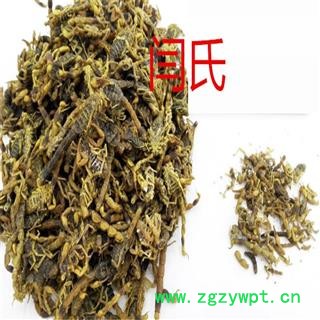 全蝎 山东盐水图3