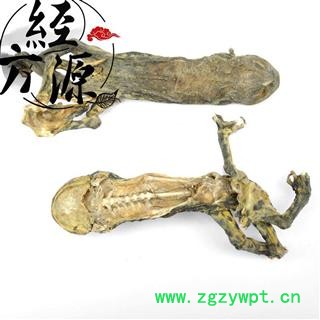 蟾蜍统个BT 干蟾蜍 蟾蜍个 蟾蜍全个 蟾干 产地辽宁图2