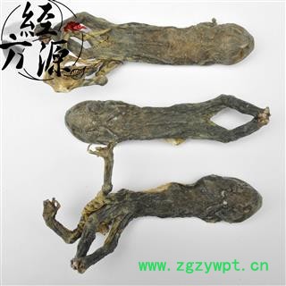 蟾蜍统个BT 干蟾蜍 蟾蜍个 蟾蜍全个 蟾干 产地辽宁图3