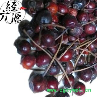 营实T 蔷薇子、野蔷薇子、石珊瑚  统 产地 山东省图3