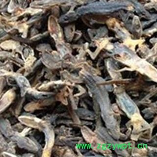 京辉药业 壁虎 统货 批发零售图2