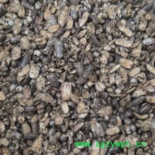 京辉药业 鼠妇虫 潮虫 地虱 实物拍摄图2