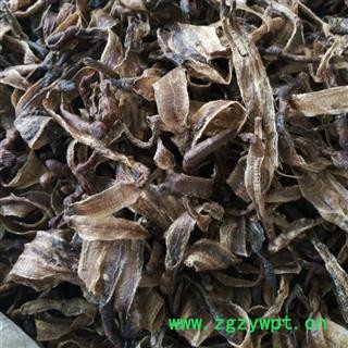 地龙 统 产地 山东省图2