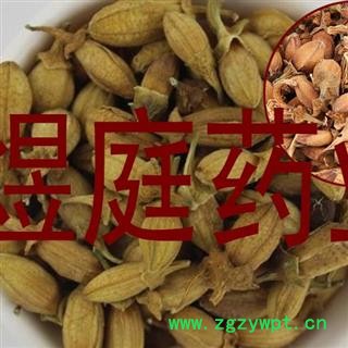 煜庭药业 佛手花 佛柑花 正品图3