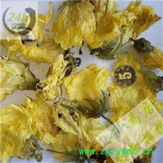 四海商联 黄蜀葵花 正品 侧金盏花 批发 京蜀葵 黄秋葵