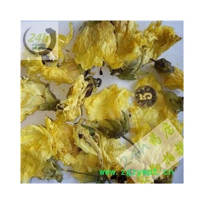 四海商联 黄蜀葵花 正品 侧金盏花 批发 京蜀葵 黄秋葵