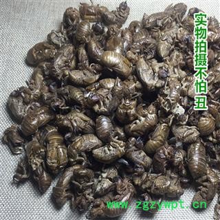 煜庭药业 蝉蜕 蝉衣 虫退 蝉壳 虫蜕 蝉退图4