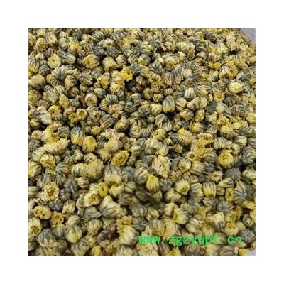 胎菊 精选胎菊 产地 浙江省 小影全品类中药材店铺