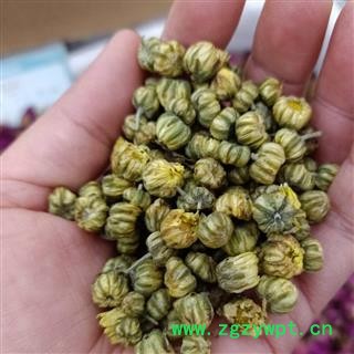 胎菊 精选胎菊 产地 浙江省 小影全品类中药材店铺图2