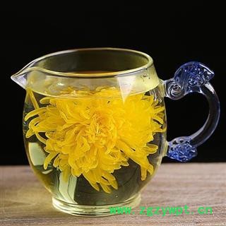 金丝黄菊 菊花&【国舜堂】一包100袋 中药材批发供应【金丝黄菊】图3