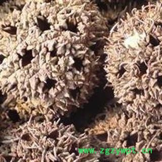 路路通 路路通统货 产地 河南省 国药堂 专注品质图2