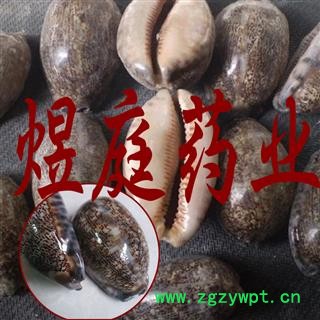 煜庭药业 紫贝齿图4