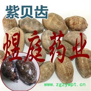 煜庭药业 紫贝齿图3